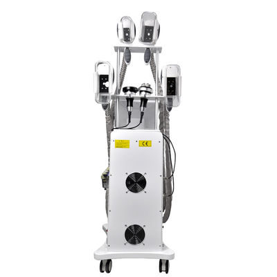 Fat Freeze Kriolipoliza Odchudzanie Maszyna 800W OEM